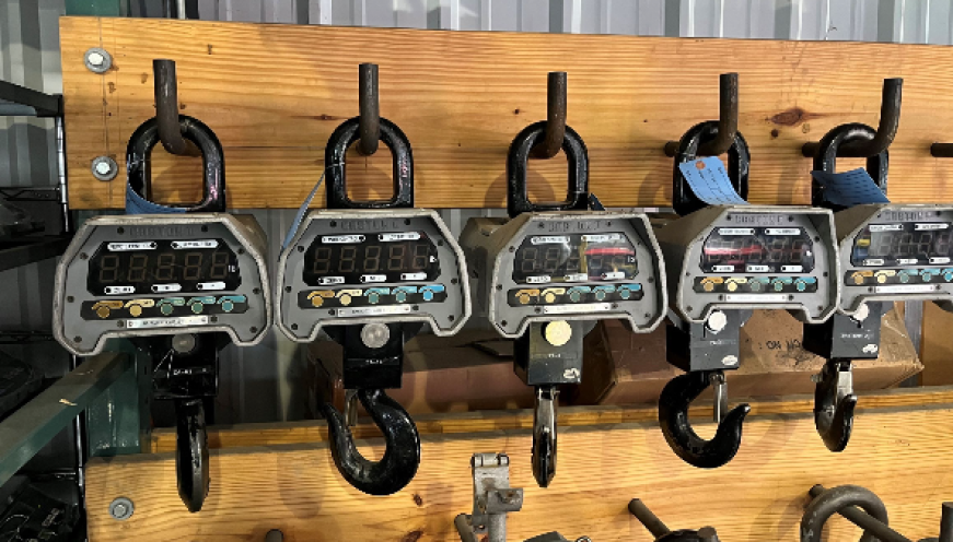 Crane Scales