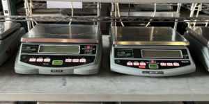 Bench Scales
