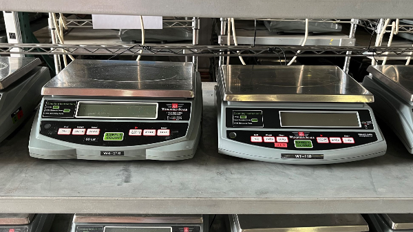 Bench Scales