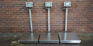 Stainless Steel Platform Scales